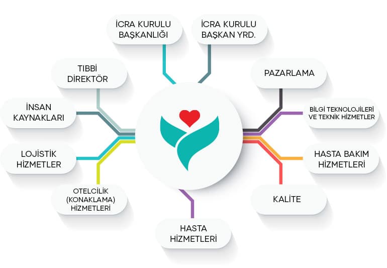 İcra Kurulu Şeması